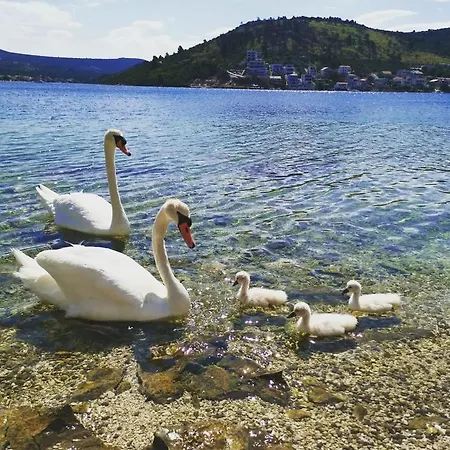 Penic Vikendica Rogoznica (Sibenik-Knin)