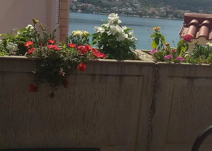 Penic * Rogoznica (Sibenik-Knin)