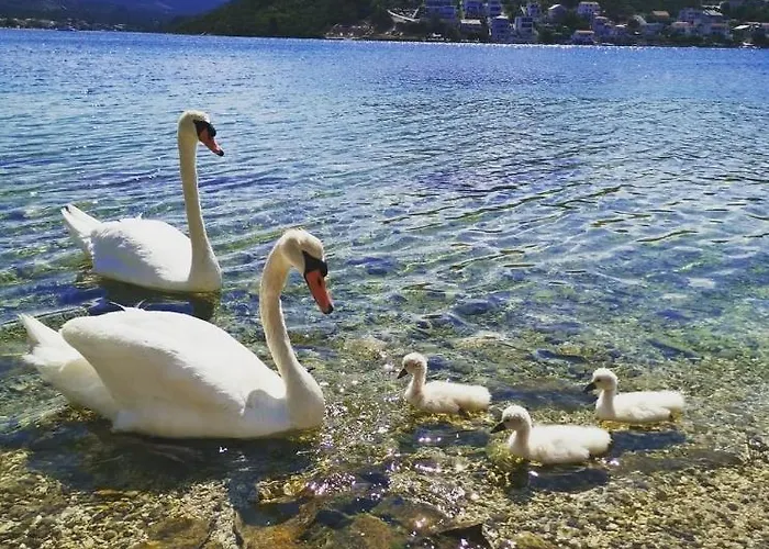 Penic Vikendica Rogoznica (Sibenik-Knin)