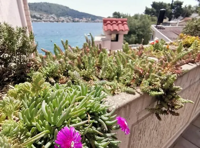 Casa vacanze Penic Rogoznica (Sibenik-Knin)