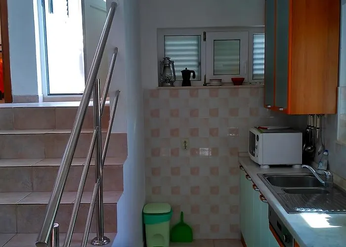 Penic روغوزنيكا